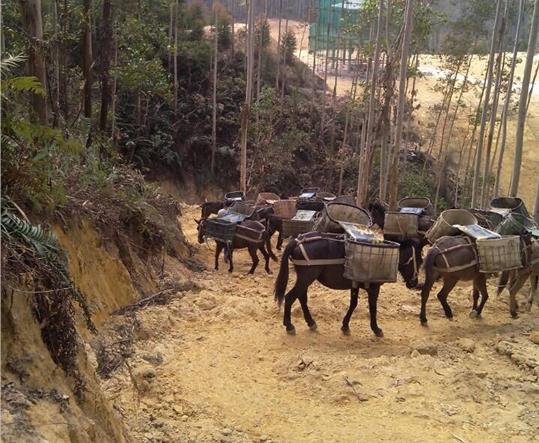 南澳马帮山路运输