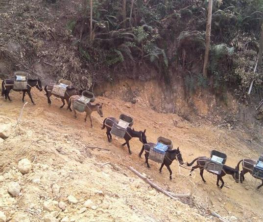 南澳山路马帮运输