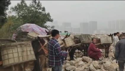 南澳骡马山区运输