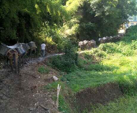 南澳马帮运输队