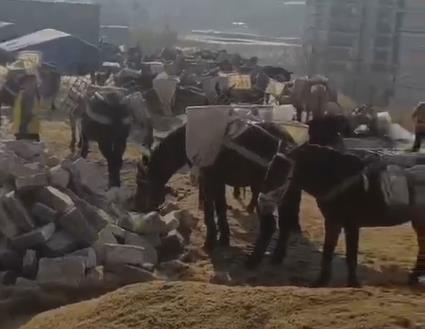 南澳马队山路运输