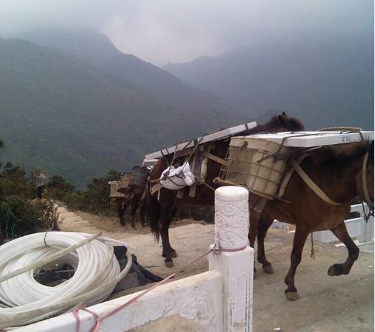 南澳山区马帮运输